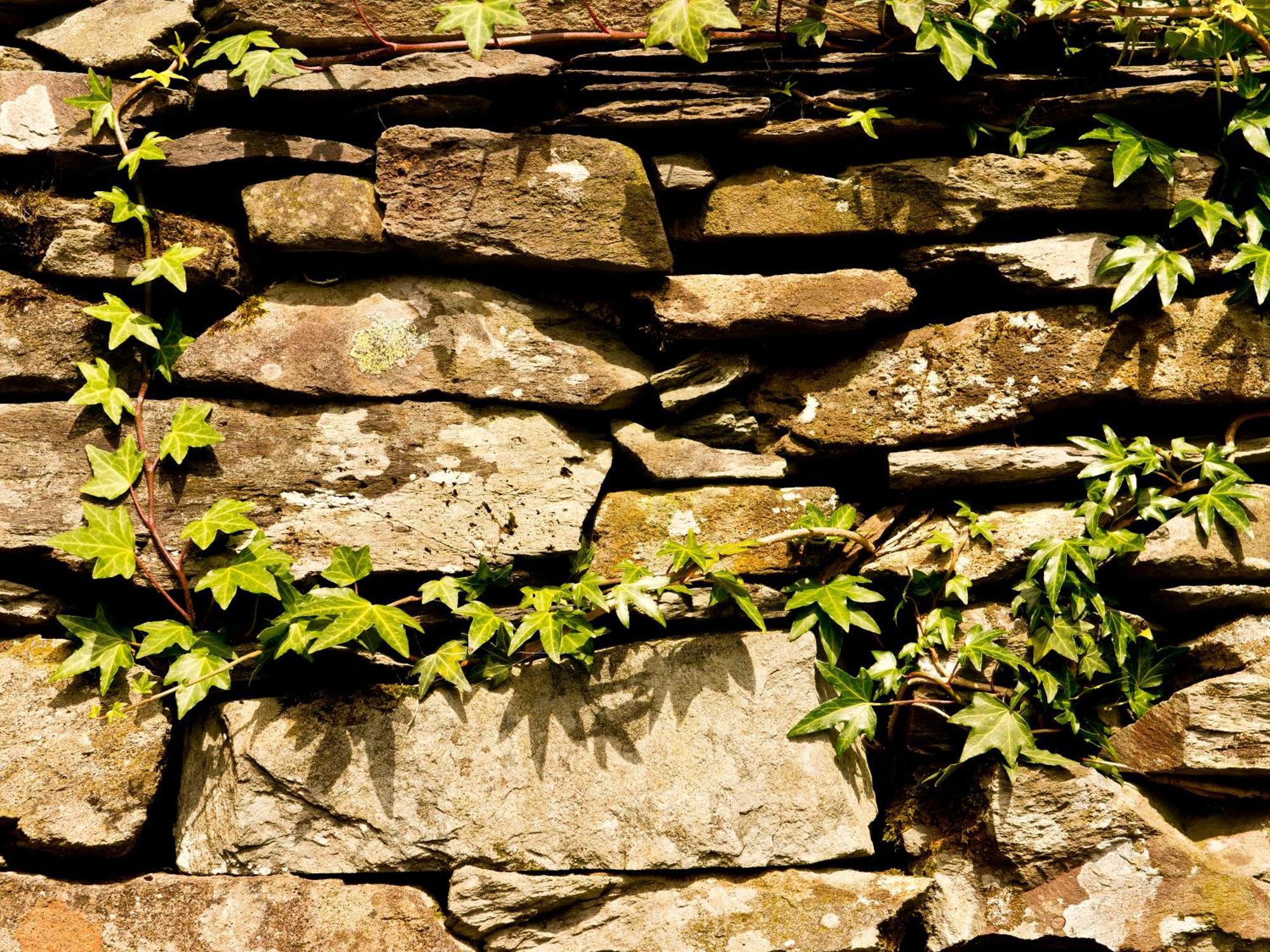 Hostel Yha Langdale Ambleside Zewnętrze zdjęcie